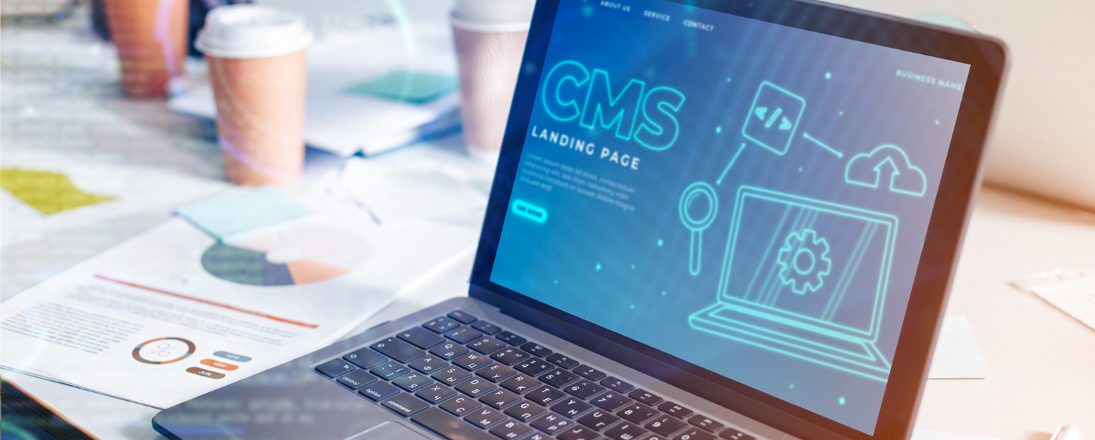 Sanity Web Development 