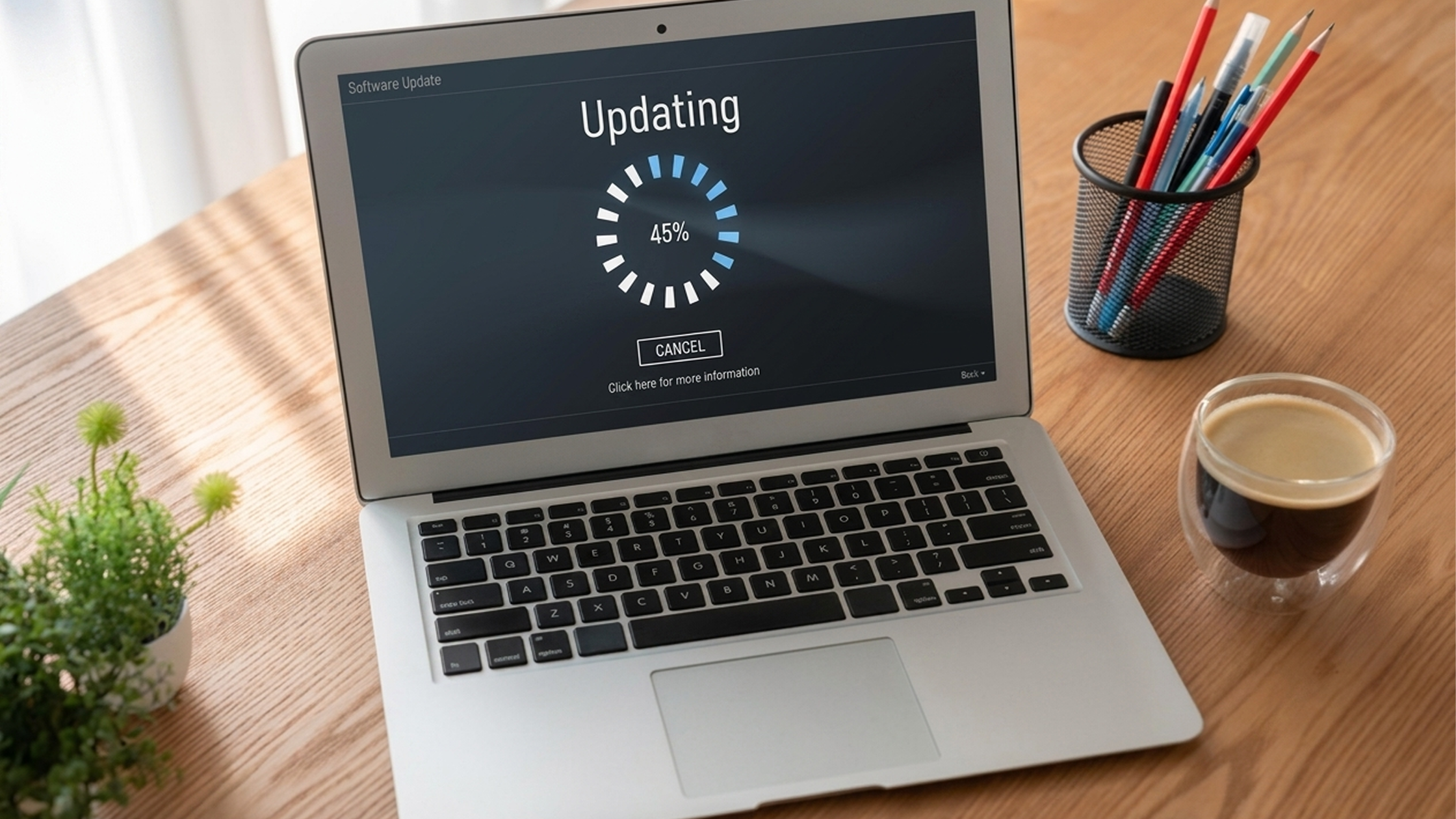 WordPress Site